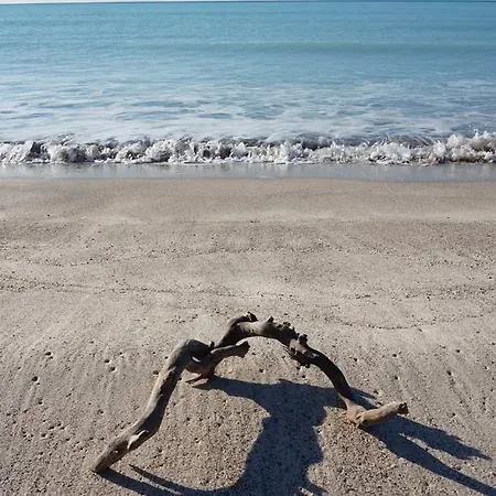 A 20 Mt Dal Mare Con Ombrellone E Sdraio In Spiaggia *