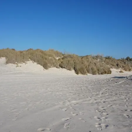A 20 Mt Dal Mare Con Ombrellone E Sdraio In Spiaggia Apartment